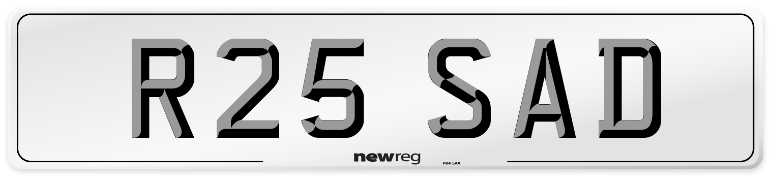 R25 SAD Front Number Plate
