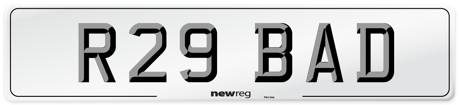 R29 BAD Front Number Plate