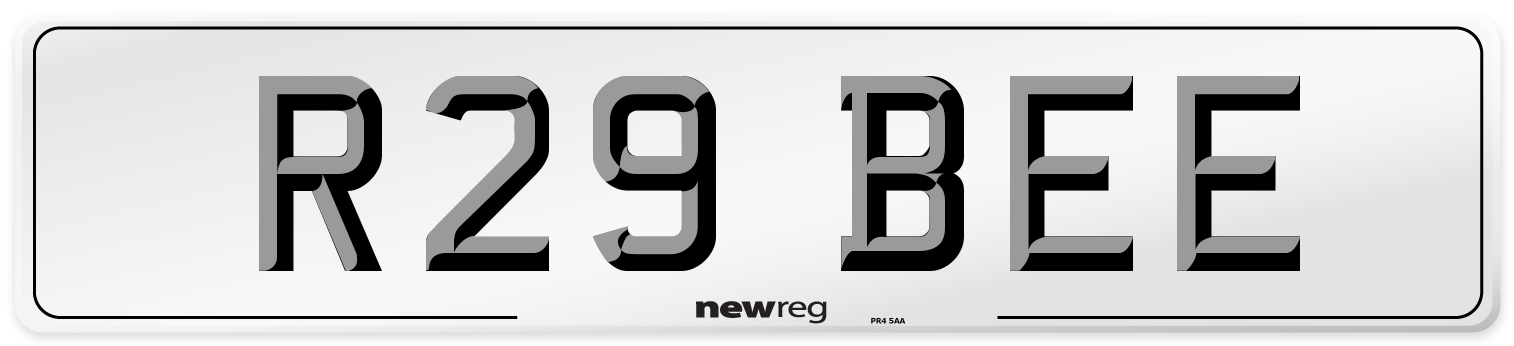 R29 BEE Front Number Plate