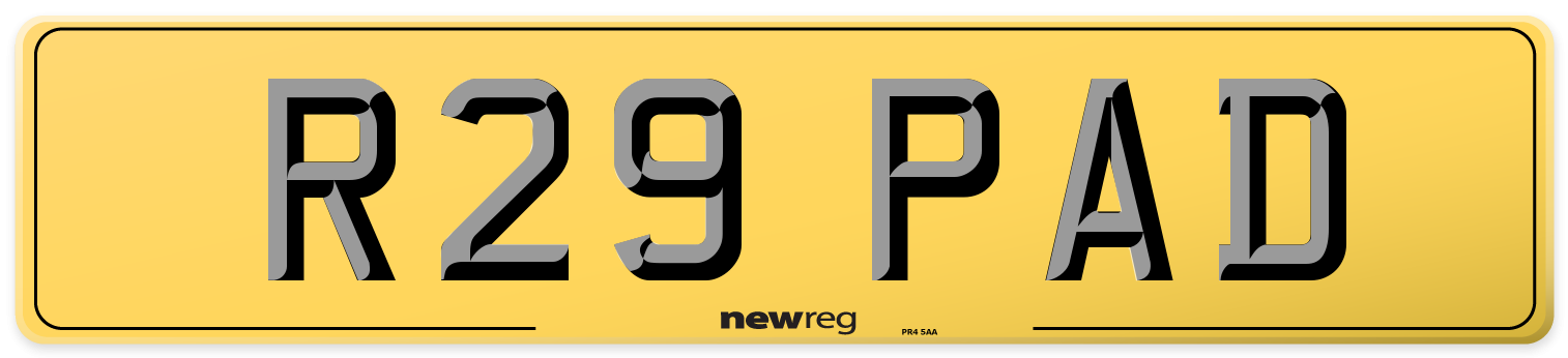 R29 PAD Rear Number Plate