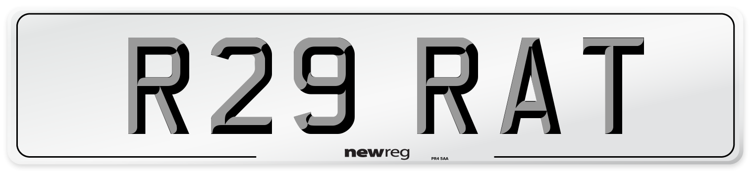 R29 RAT Front Number Plate