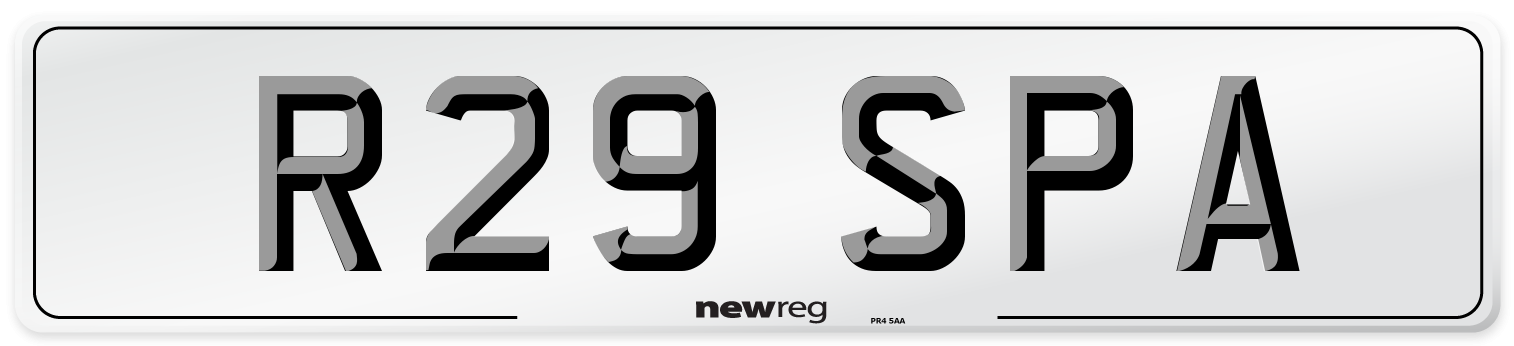 R29 SPA Front Number Plate