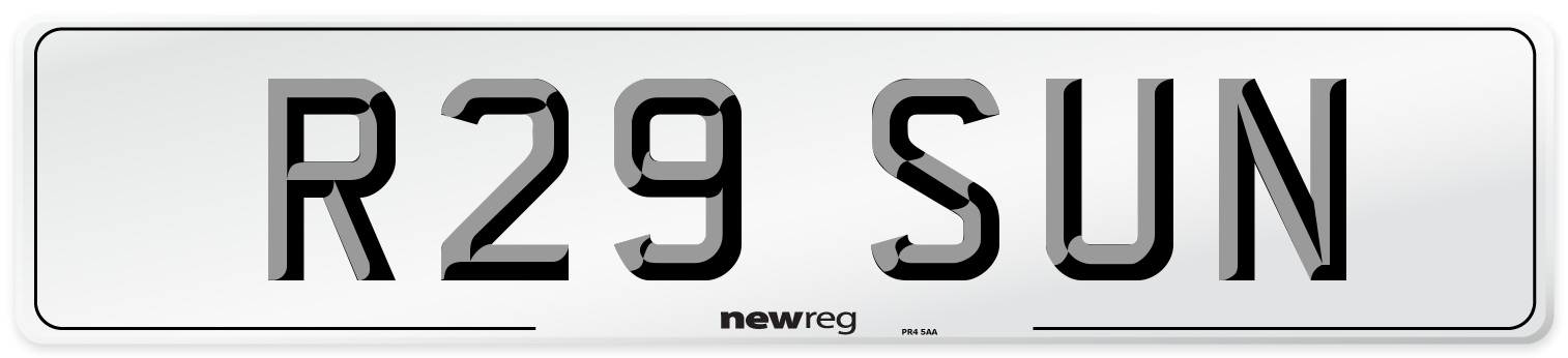 R29 SUN Front Number Plate