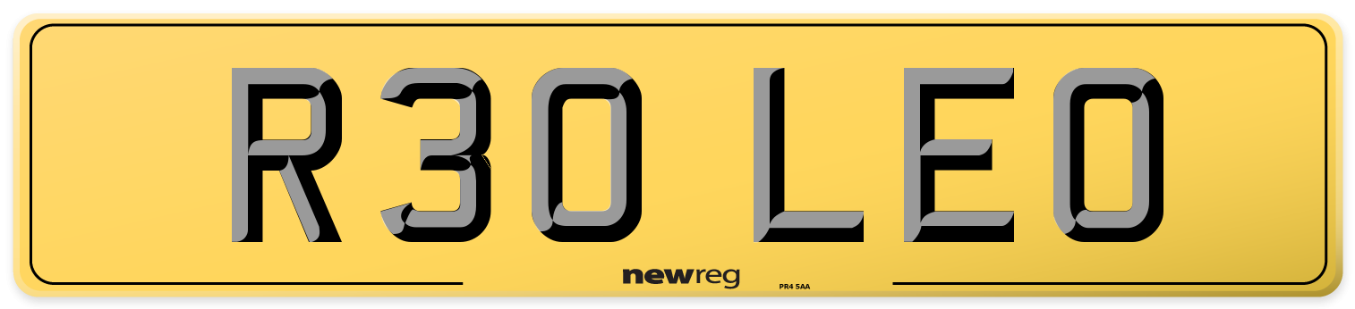 R30 LEO Rear Number Plate