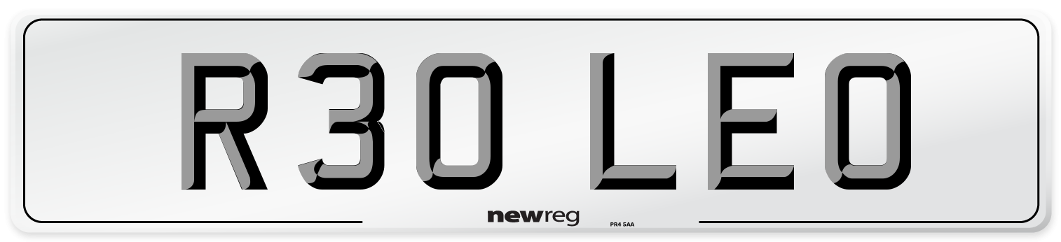 R30 LEO Front Number Plate