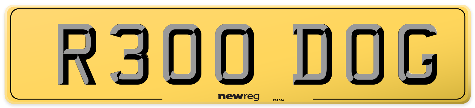 R300 DOG Rear Number Plate