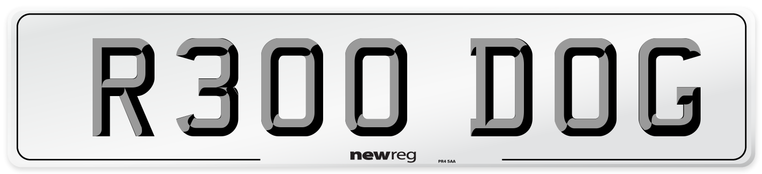 R300 DOG Front Number Plate
