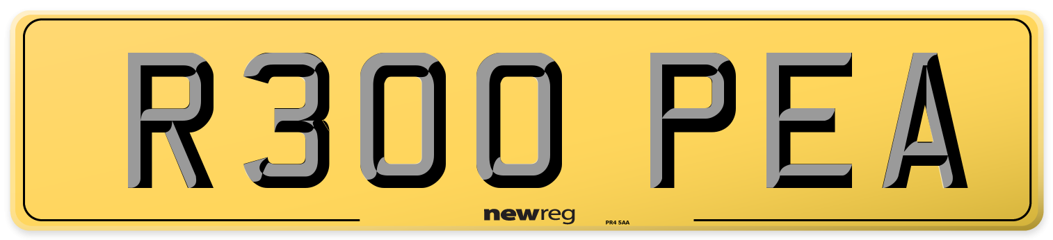R300 PEA Rear Number Plate