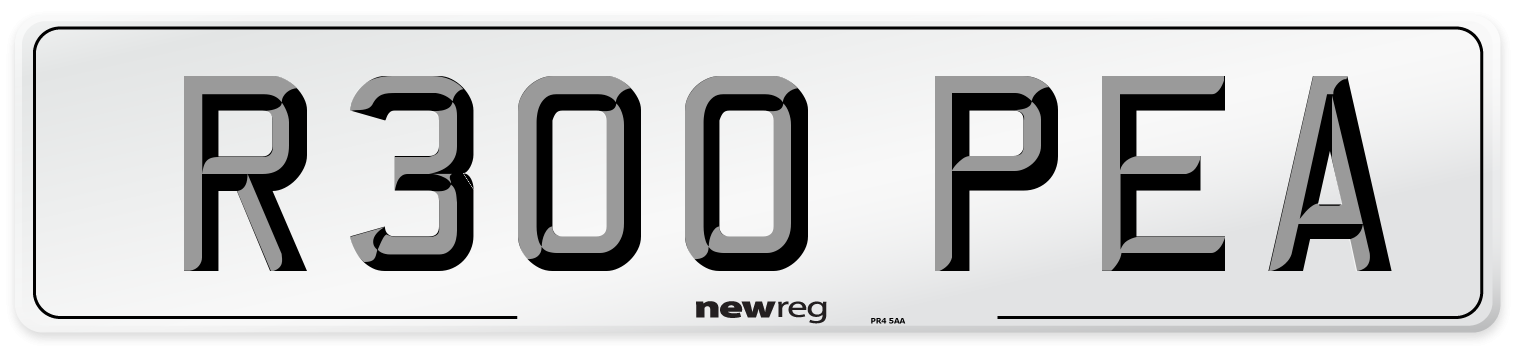R300 PEA Front Number Plate