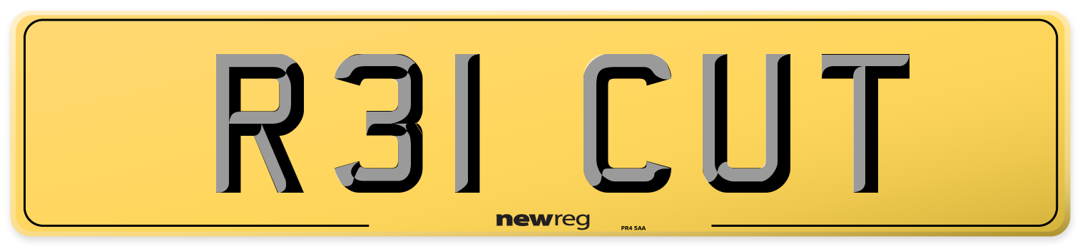 R31 CUT Rear Number Plate