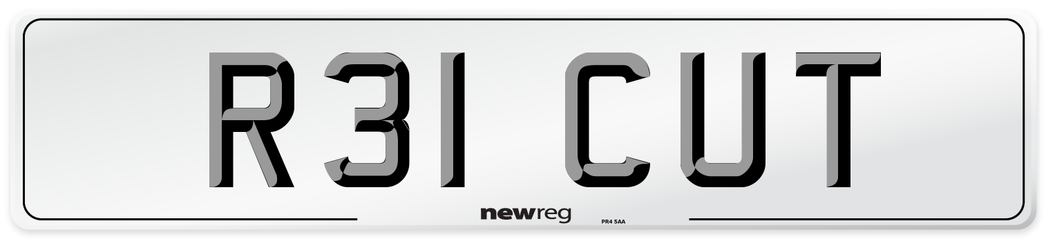 R31 CUT Front Number Plate