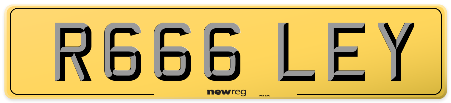 R666 LEY Rear Number Plate