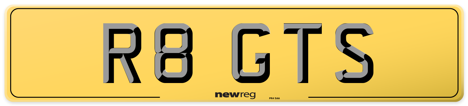 R8 GTS Rear Number Plate