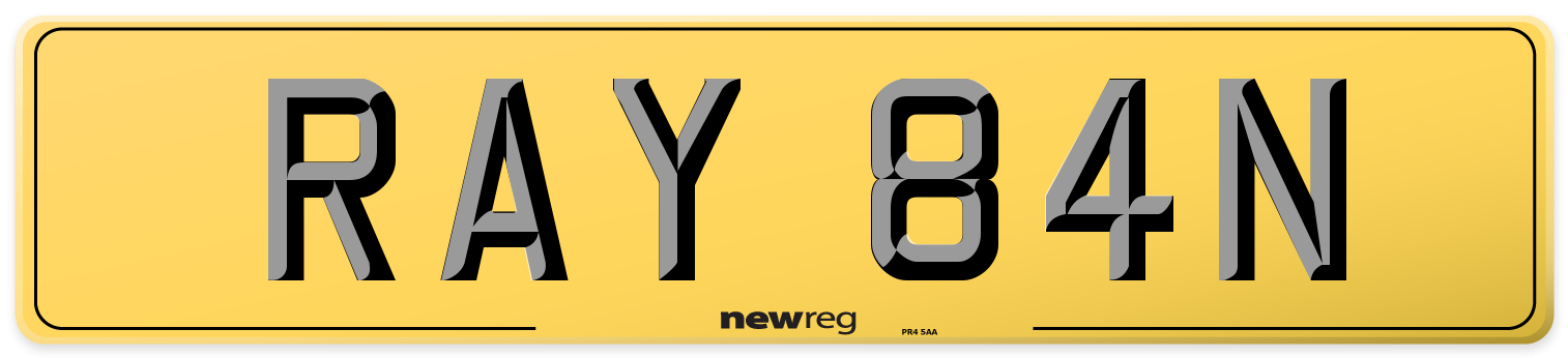 RAY 84N Rear Number Plate
