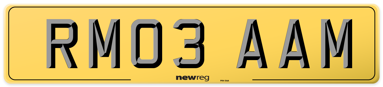 RM03 AAM Rear Number Plate