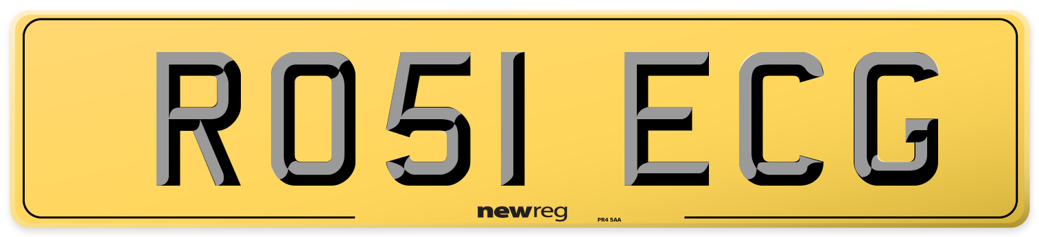 RO51 ECG Rear Number Plate