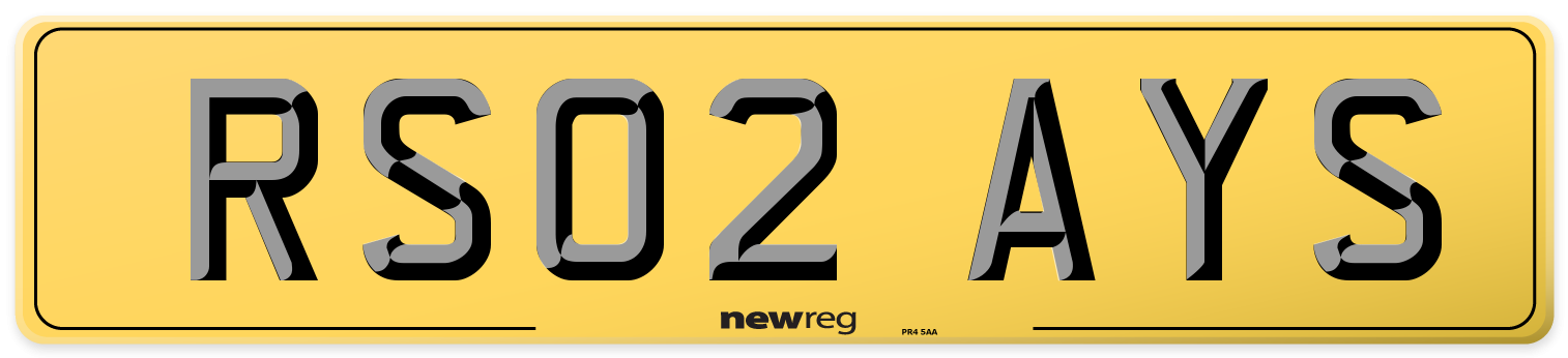 RS02 AYS Rear Number Plate