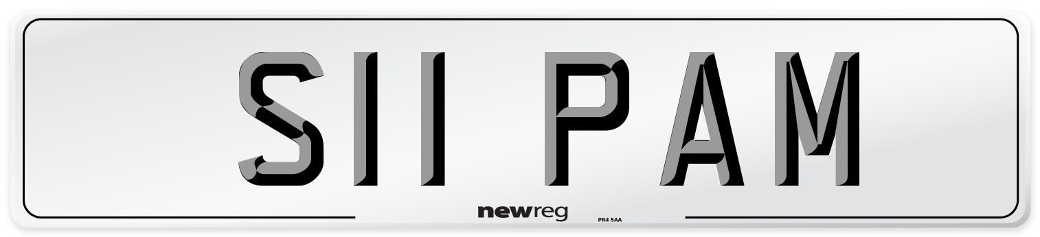 S11 PAM Front Number Plate