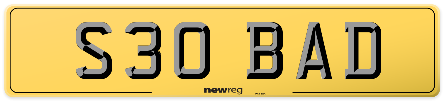 S30 BAD Rear Number Plate