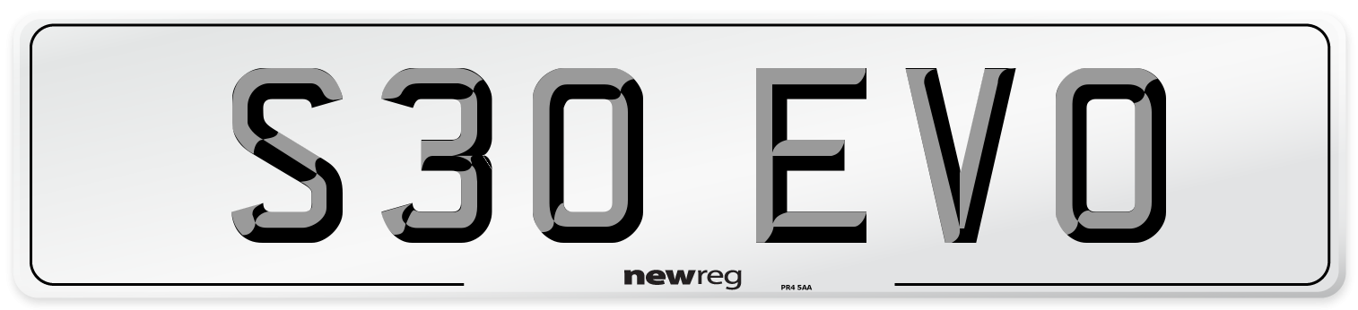 S30 EVO Front Number Plate