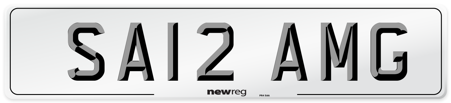 SA12 AMG Front Number Plate