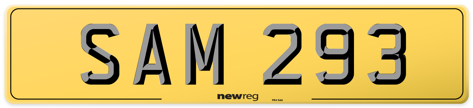 SAM 293 Rear Number Plate