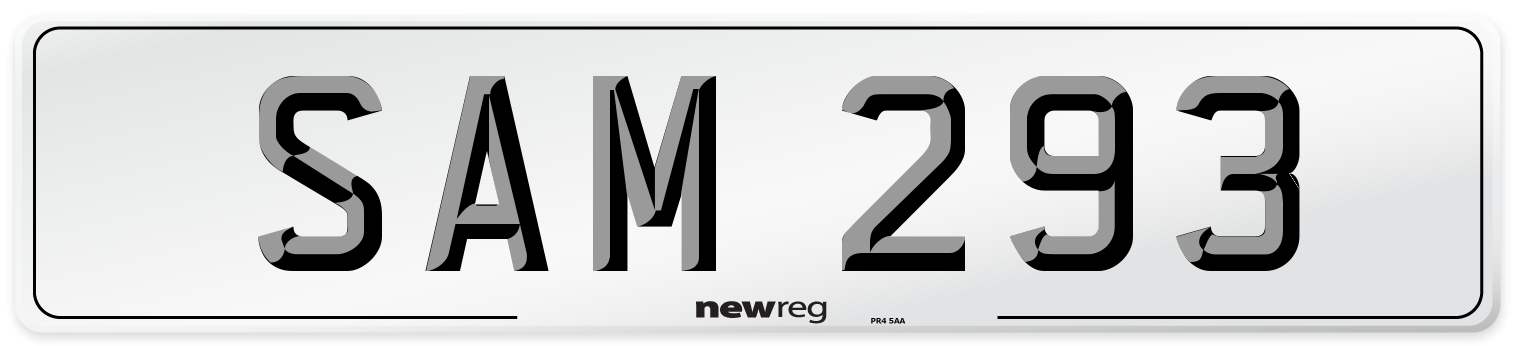 SAM 293 Front Number Plate