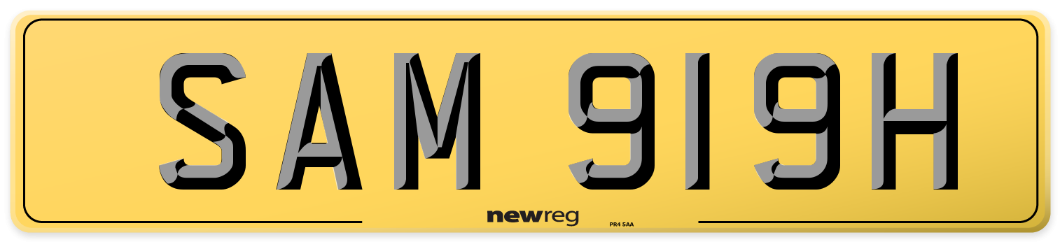 SAM 919H Rear Number Plate