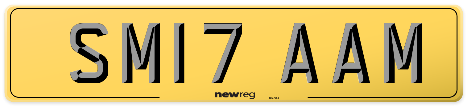 SM17 AAM Rear Number Plate