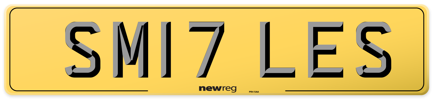 SM17 LES Rear Number Plate