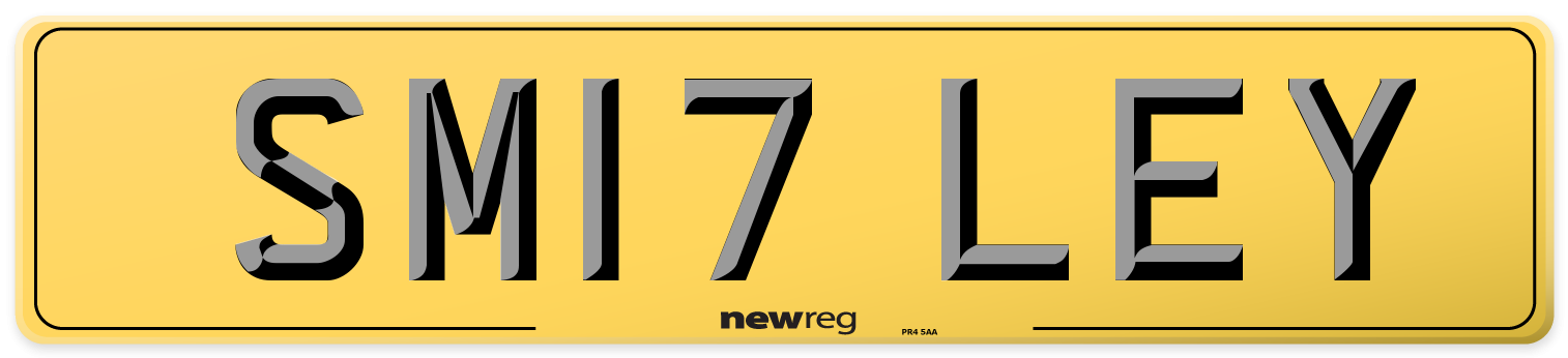 SM17 LEY Rear Number Plate