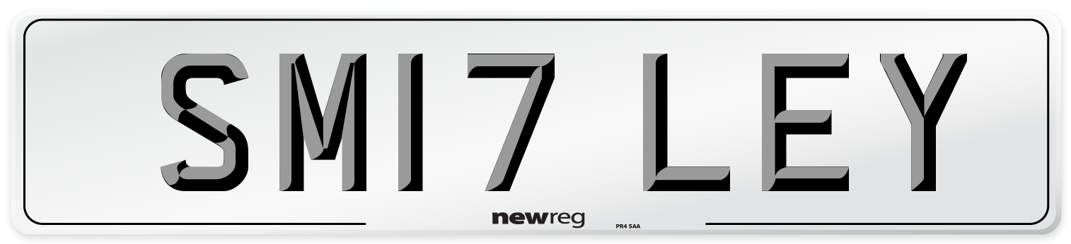 SM17 LEY Front Number Plate