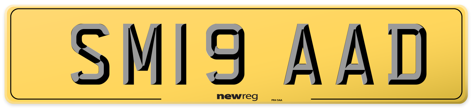 SM19 AAD Rear Number Plate