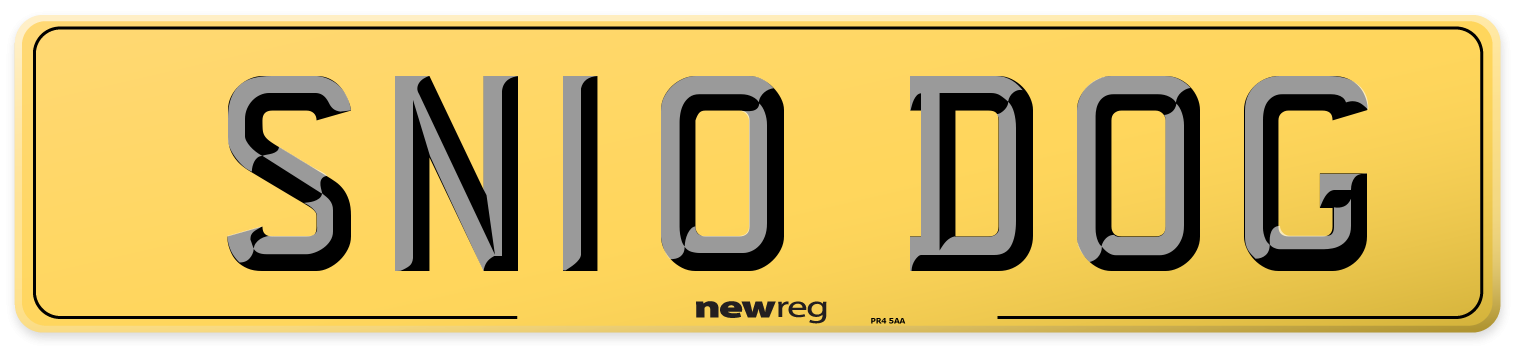 SN10 DOG Rear Number Plate