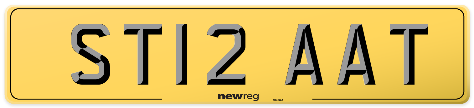 ST12 AAT Rear Number Plate