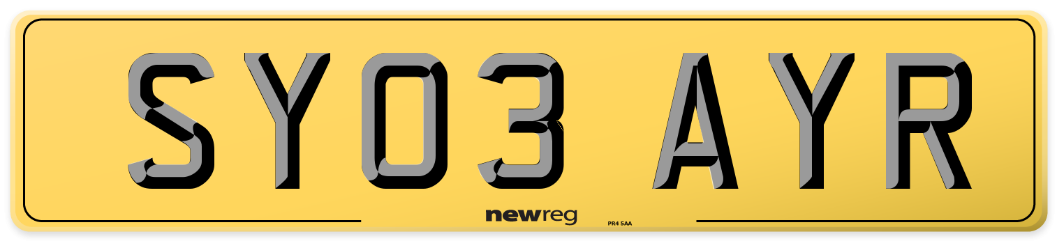SY03 AYR Rear Number Plate