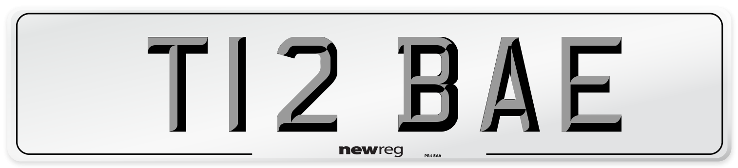 T12 BAE Front Number Plate