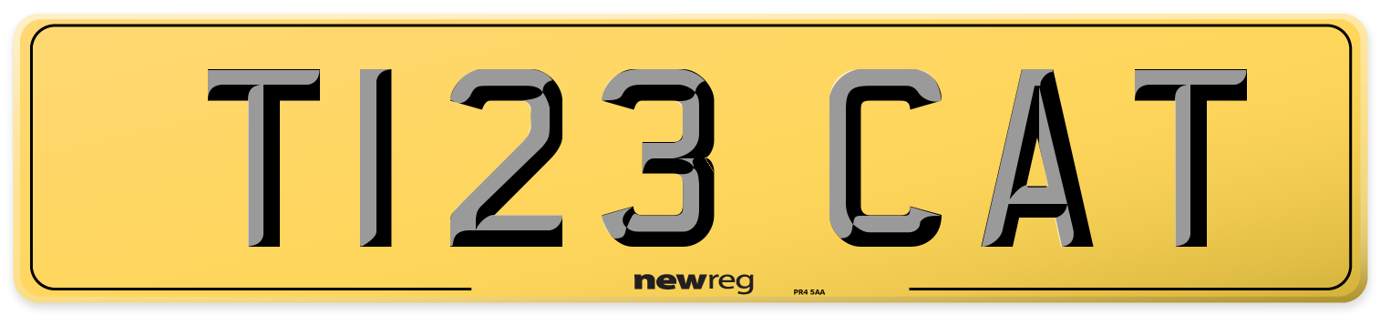 T123 CAT Rear Number Plate