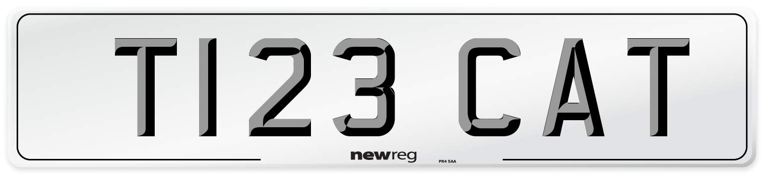 T123 CAT Front Number Plate