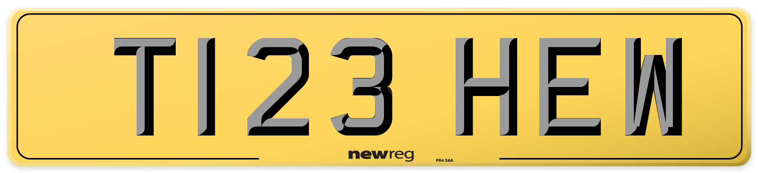 T123 HEW Rear Number Plate