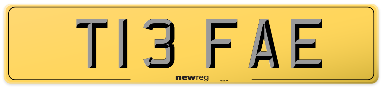 T13 FAE Rear Number Plate