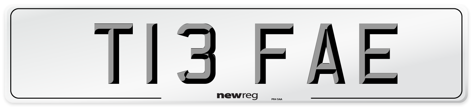 T13 FAE Front Number Plate