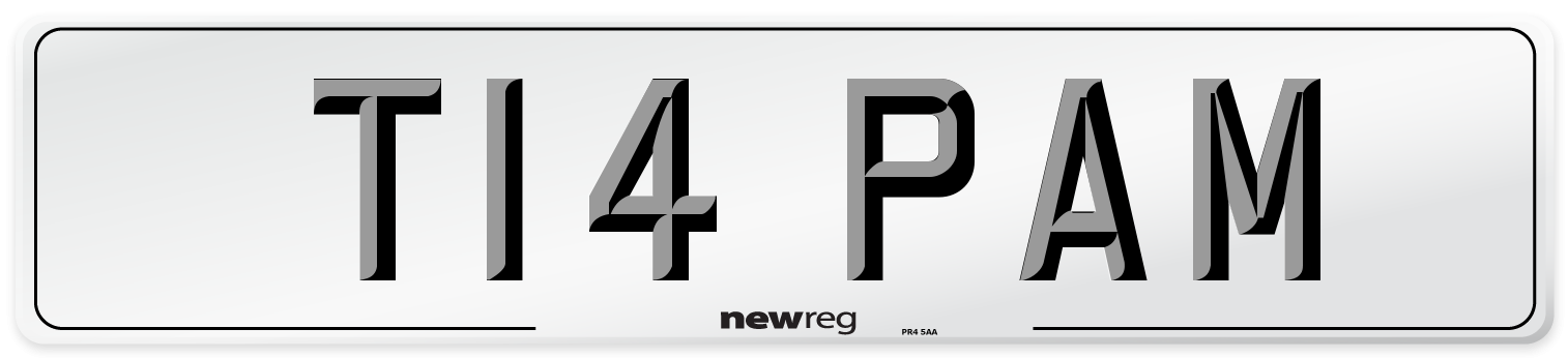 T14 PAM Front Number Plate