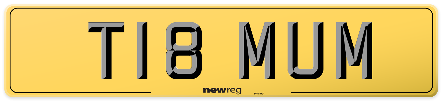 T18 MUM Rear Number Plate