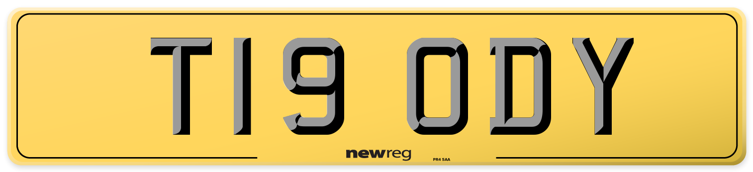 T19 ODY Rear Number Plate