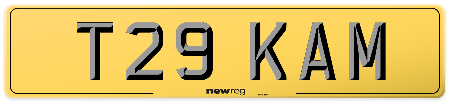 T29 KAM Rear Number Plate