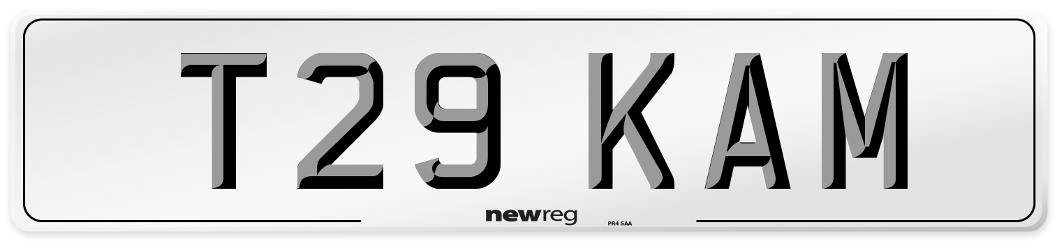 T29 KAM Front Number Plate