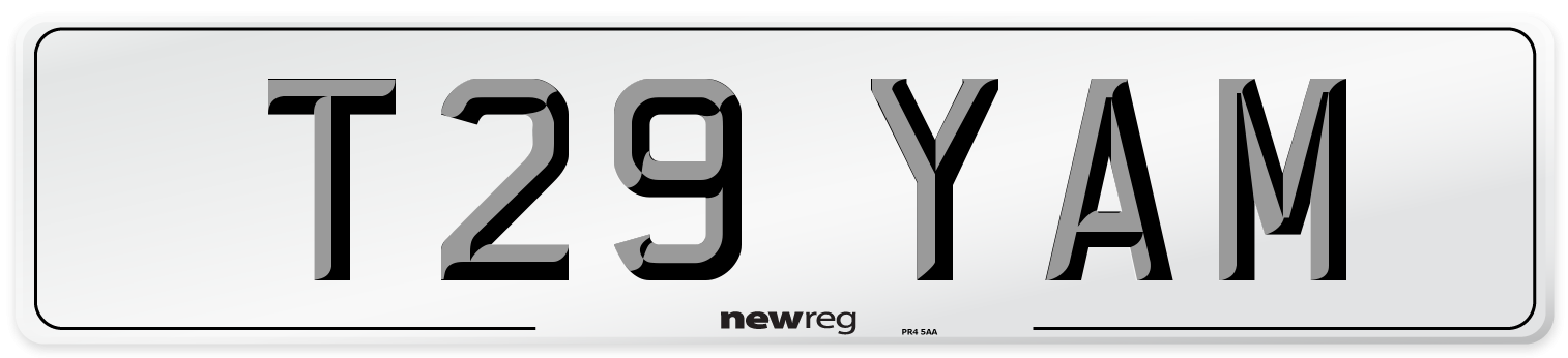 T29 YAM Front Number Plate