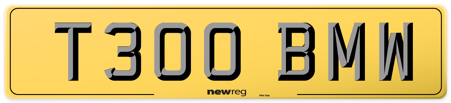 T300 BMW Rear Number Plate