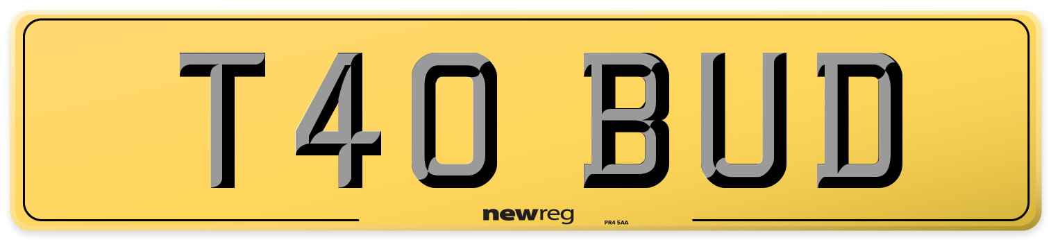 T40 BUD Rear Number Plate